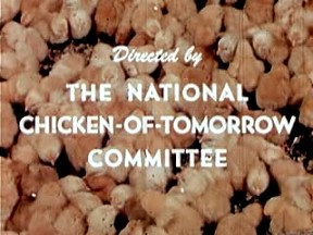 directed by the national chicken-of-tomorrow-committee