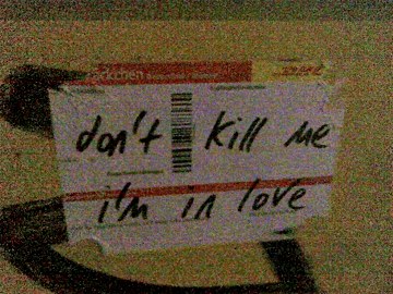 don't kill me, i'm in love!